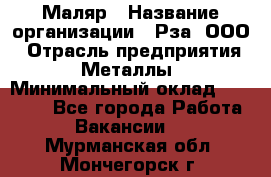 Маляр › Название организации ­ Рза, ООО › Отрасль предприятия ­ Металлы › Минимальный оклад ­ 40 000 - Все города Работа » Вакансии   . Мурманская обл.,Мончегорск г.